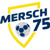 Mersch75_250x250